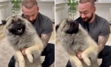 Vídeos registram quiroprata que dá jeito na coluna dos cães em segundos