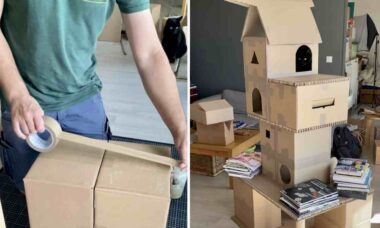 Vídeo: dono dedicado monta um parque temático de papelão para seus gatos