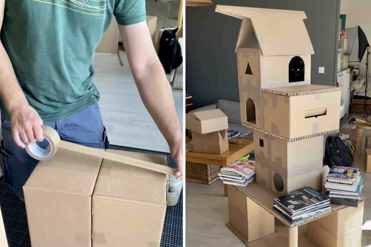 Videó: Hűséges tulajdonos karton vidámparkot épít macskái számára