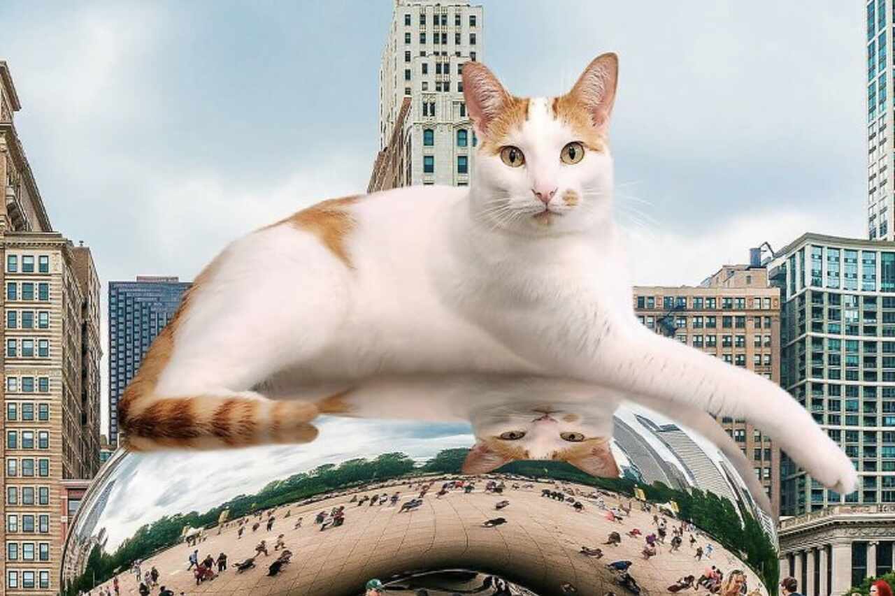 Artysta tworzy zdumiewające obrazy olbrzymich kotów na całym świecie