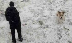 Ilusão de ótica: você consegue encontrar o terceiro cãozinho na imagem abaixo?