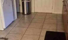 Desafio: você tem QI de gênio caso encontre o cão em menos de 10 segundos na imagem