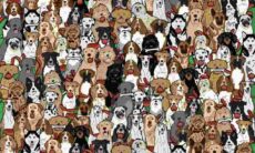 Desafio: você consegue encontrar na imagem o cão que furtou salsichas