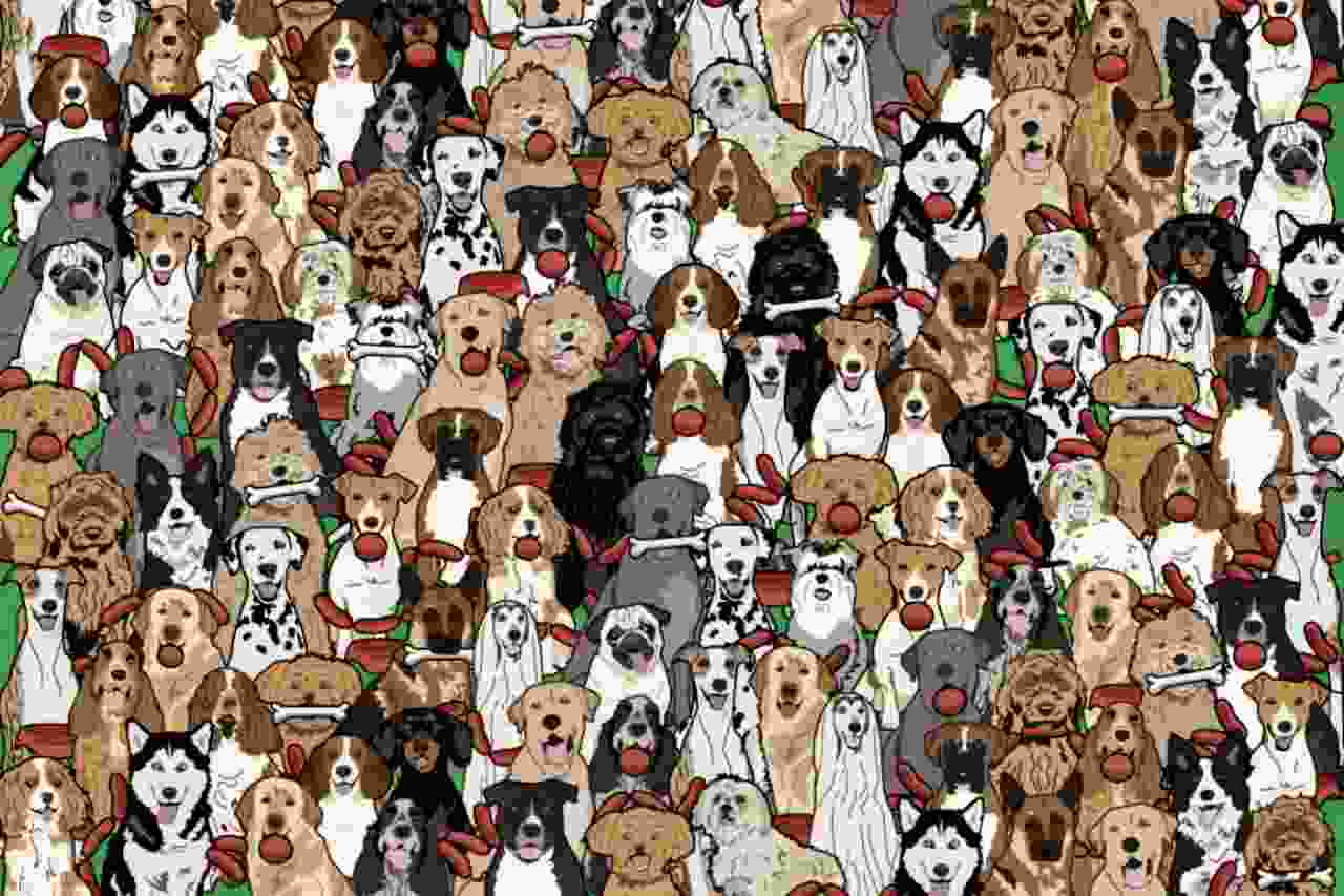 Challenge: Can you find the dog that stole sausages in the image?