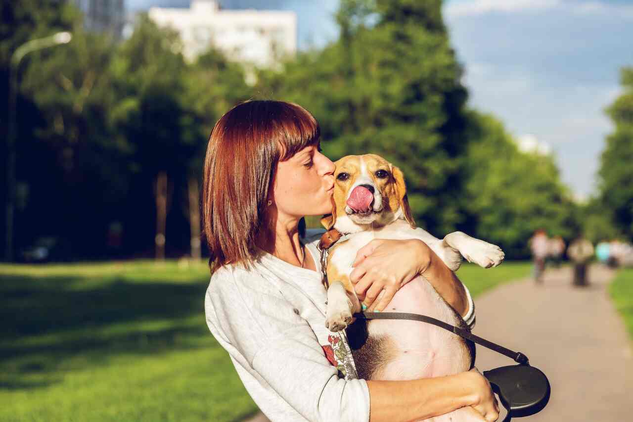 6 Gründe, warum Hundebesitzer zusätzliche Lebensjahre gewinnen