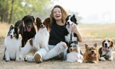 Estudo revela quais são as 15 raças de cães mais amigáveis