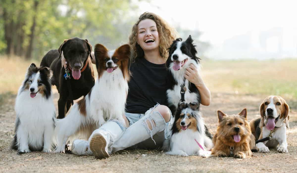 Studie enthüllt die 15 freundlichsten Hunderassen