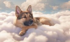 Nova ferramenta de inteligência artificial permite que você coloque seu cão em qualquer imagem