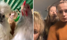 Vídeo hilário: aves inspiram trio de dançarinas