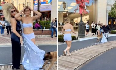 Vídeo hilário: cão arranca vestido de modelo na rua, em plena luz do dia