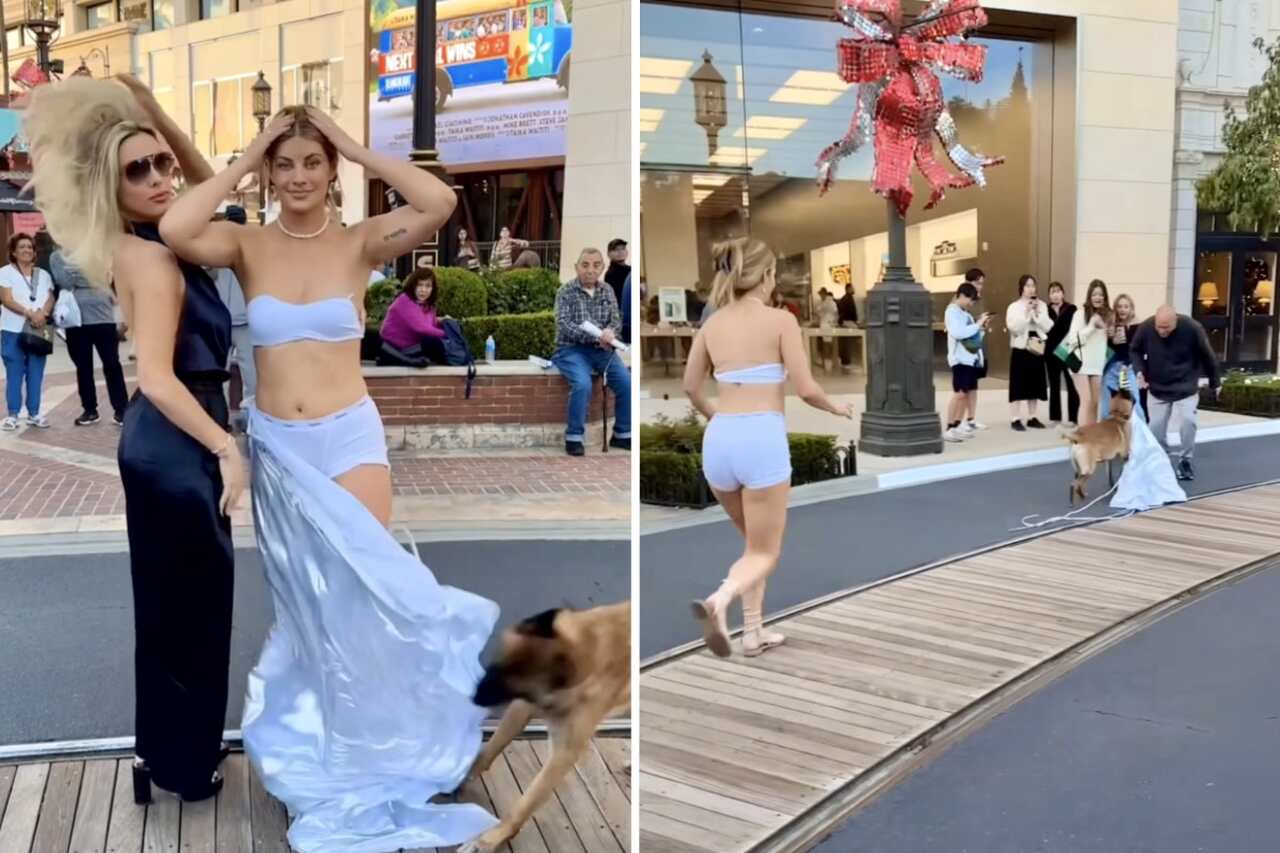 Lustiges Video: Hund reißt das Kleid eines Models auf der Straße bei Tageslicht ab