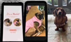 Vídeo hilário: cão quebra a cara em aplicativo de paquera