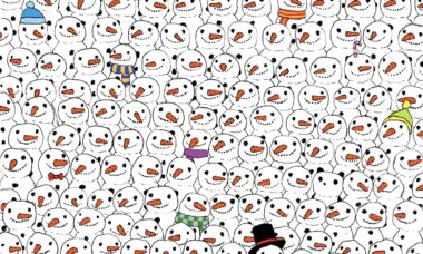 Desafio: você consegue encontrar o panda entre bonecos de neve em menos de 5 segundos?