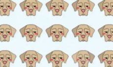 Desafio: você consegue encontrar o cão diferente em menos de 8 segundos?