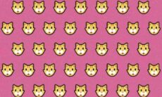 Teste o seu QI: você consegue encontrar o gato diferente na imagem em até 15 segundos?