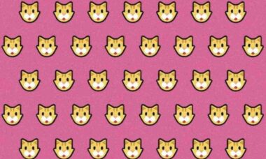 Teste o seu QI: você consegue encontrar o gato diferente na imagem em até 15 segundos?