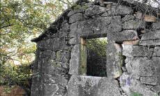 Desafio: tente encontrar o gato escondido em construção muito antiga