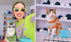 Com acessórios e joias, dona embeleza sua gata e encanta a internet