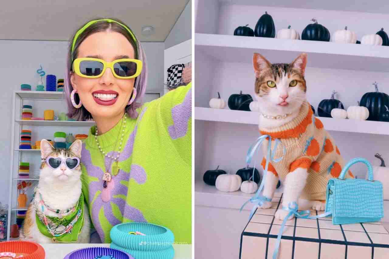 Con accesorios y joyas, la dueña embellece a su gata y cautiva a internet