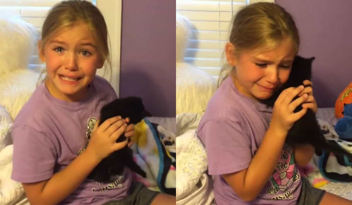 Videoclip emoționant: fetița devine extrem de emoționată când primește un pui de pisică