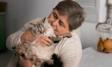 Adotar um gato como pet aumenta o risco de esquizofrenia, indica estudo