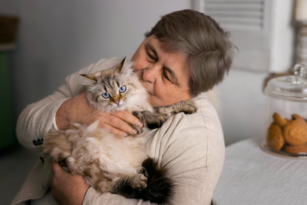 Egy macska örökbefogása mint háziállat növeli a skizofrénia kockázatát, egy tanulmány szerint