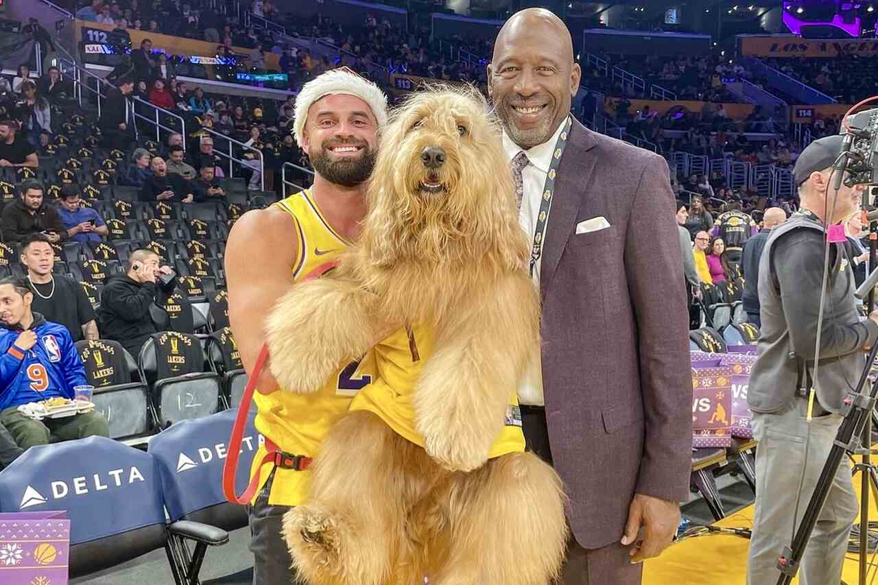 Ismerd meg Brodie-t, a táncoló kutya, aki többet keres, mint az NBA sztárjai