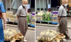 Vídeo fofo: homem leva sua tartaruga gigante para passear nas ruas