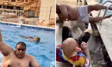 Vídeo hilário e assustador: tigre invade piscina, e gordinhos mostram agilidade