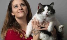 Confira os prós e os contras de levar um gato para casa