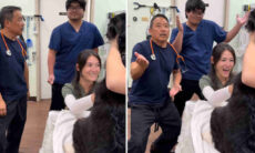 Vídeo hilário: veterinários usam truque inusitado para acalmar cão durante coleta de sangue