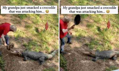 Vídeo impressionante: homem usa frigideira para se defender do ataque de um crocodilo