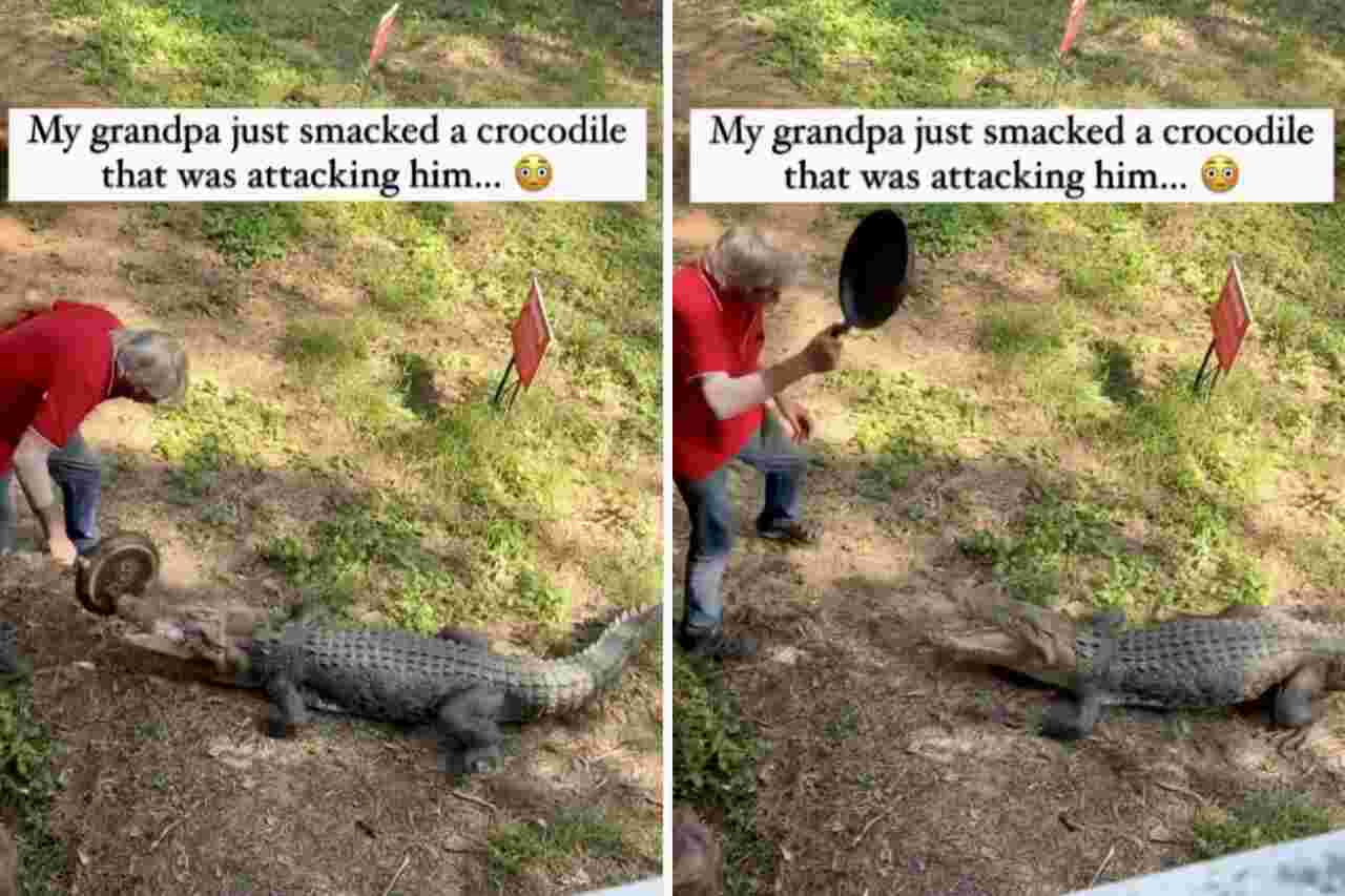 Imponerande video: Man använder stekpanna för att försvara sig mot en krokodilattack