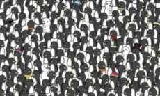 Só pessoas de QI alto conseguem encontrar os gatos escondidos na imagem (India Times)