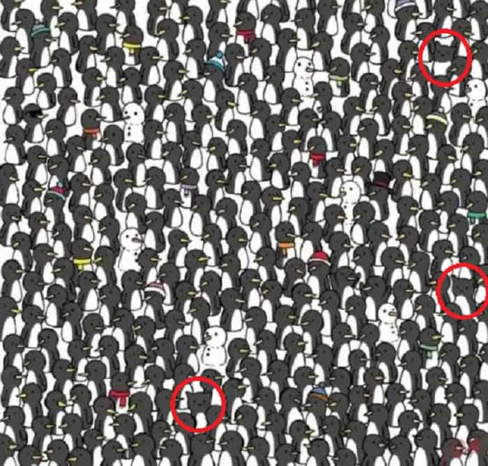 Only people with high IQ can find the hidden cats in the image (India Times)