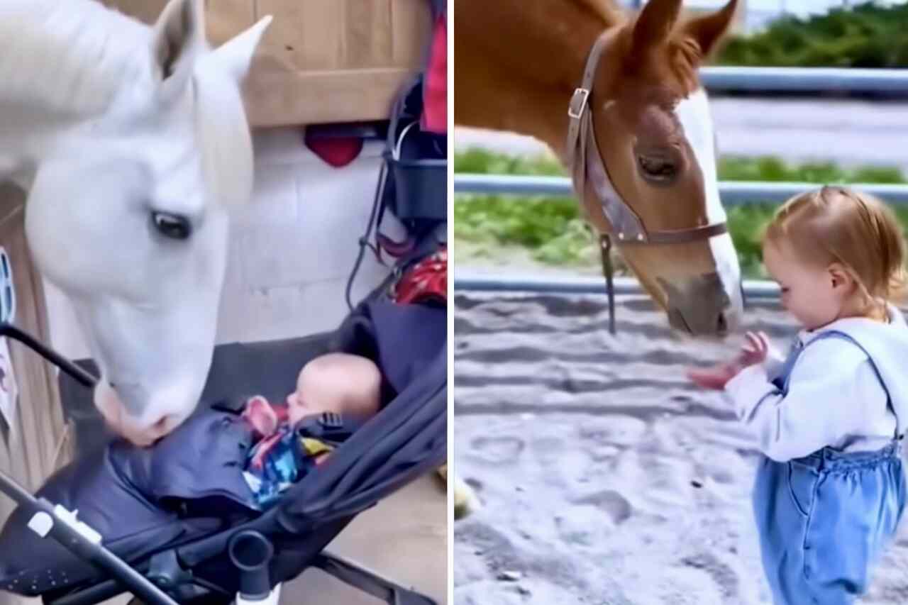 Hester og barn har et kjærlig forhold. Foto: Reproduksjon Instagram