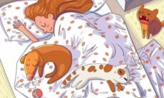 Desafio: você consegue encontrar o pássaro escondido na imagem em até 8 segundos?