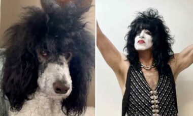 Confira em vídeo cão que tem tudo para ser integrante da banda Kiss