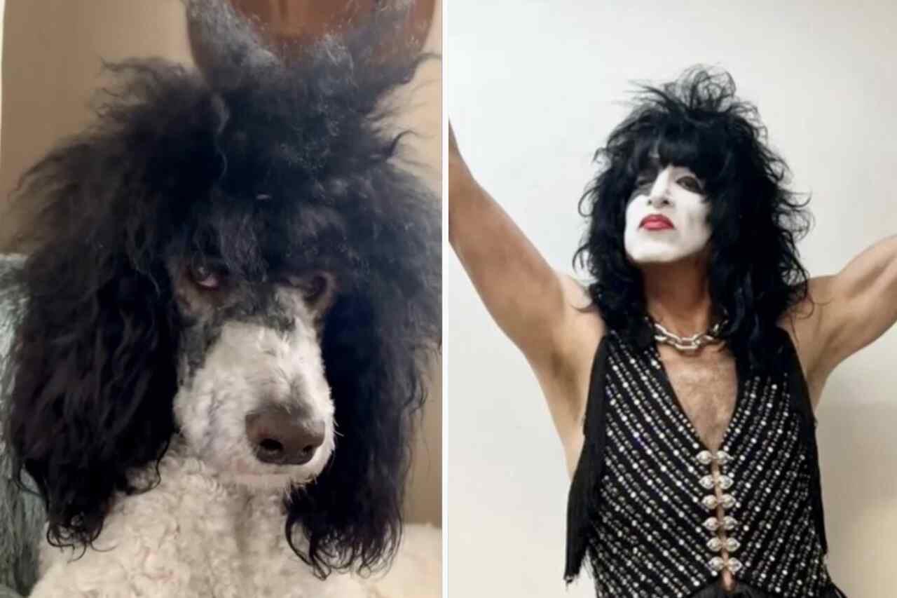 Confira em vídeo cão que tem tudo para ser integrante da banda Kiss