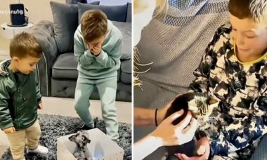 감동적인 영상: 아이들이 애완동물을 받아 크게 기뻐함. 사진: Instagram 캡처