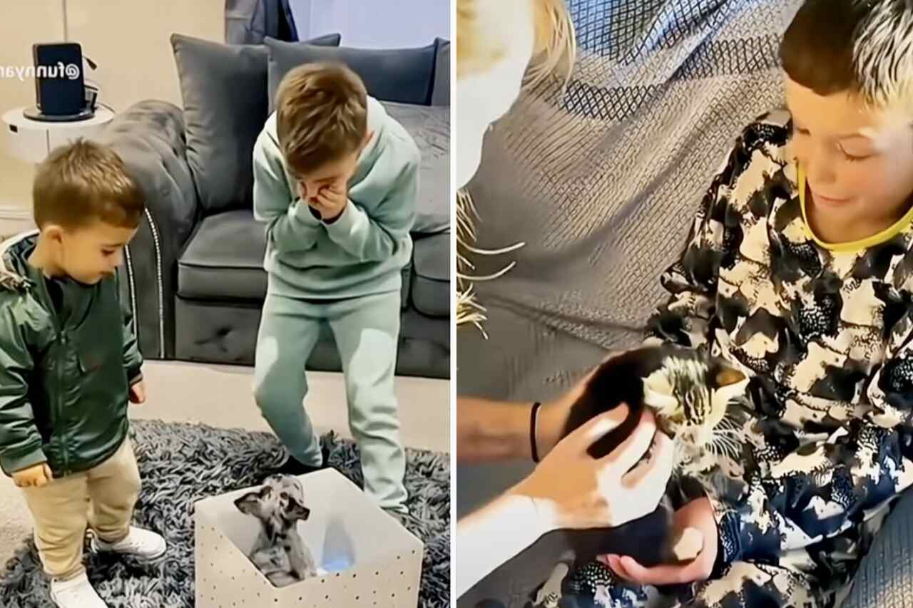 Følelsesladede videoer: Børn får kæledyr og går amok. Foto: Reproduktion Instagram