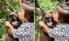 Morsomme videoer beviser: Shiba Inus er unike små hunder. Foto: Instagram Reproduksjon