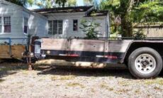 Desafio: você consegue encontrar o gato escondido na imagem em até 5 segundos?