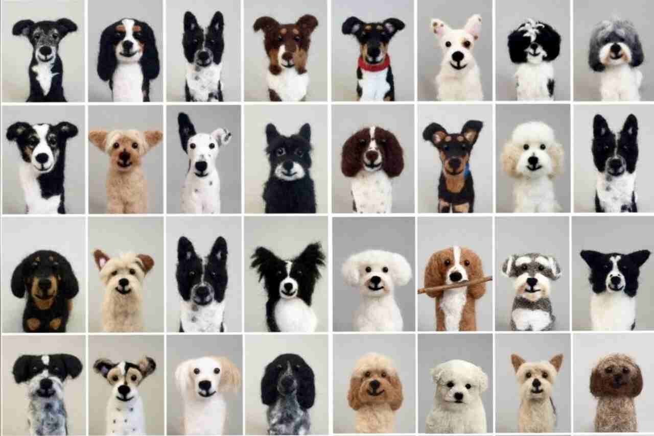Reto: ¿Puedes encontrar al verdadero perro entre 64 peluches?