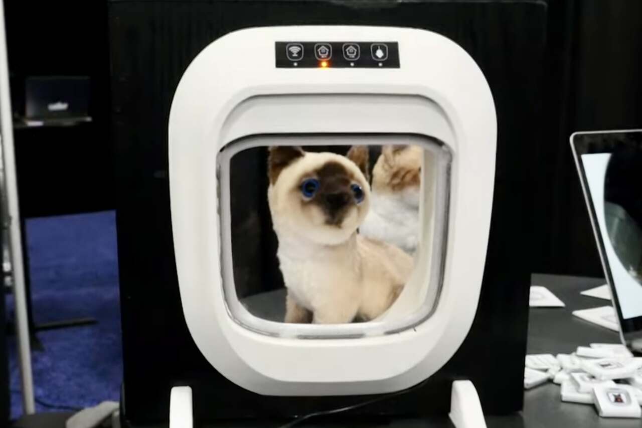 新創公司推出防止貓咪將死掉的獵物帶進家中的門。圖片：YouTube複製品