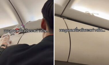Cobra aparece em compartimento de bagagem e instala o caos em voo na Tailândia