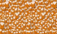 Desafio: você consegue encontrar o cãozinho entre as canecas de cerveja?