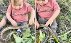 Vídeo impressionante: bebê corajoso não se altera com cobra no colo