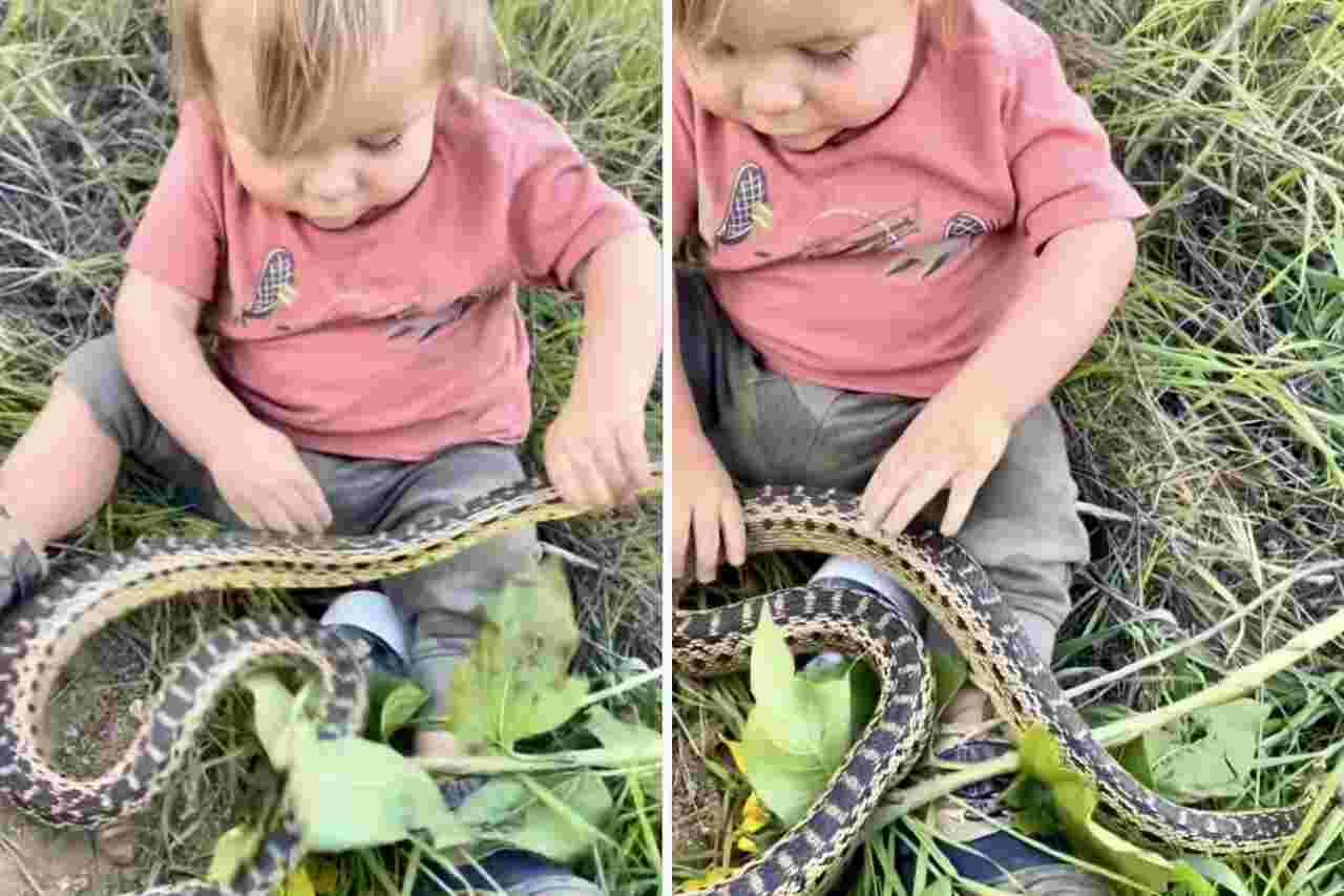 Imponerande video: Modiga barnet förblir oberörd med orm i knät