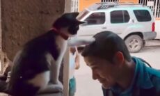 Vídeo hilário: gato 'abençoa' todos os fiéis que chegam para roda de orações